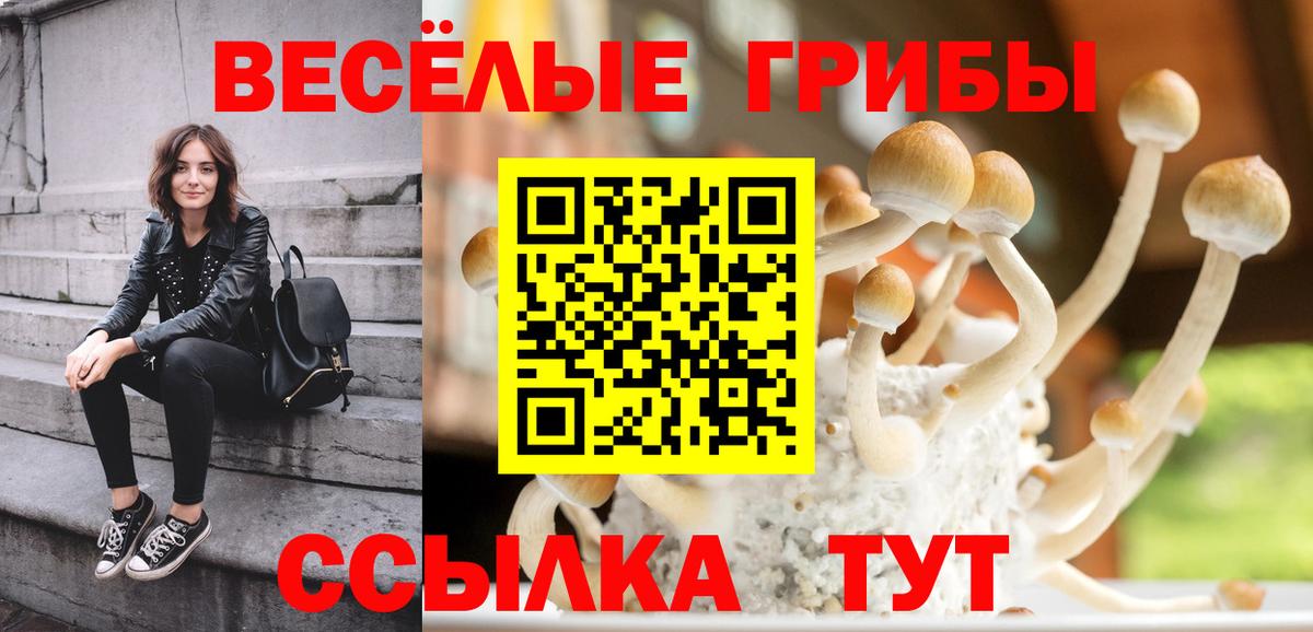 Знаменск  Галлюциногенные грибы мухоморы  Вход с VPN 